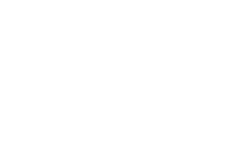 Other icon