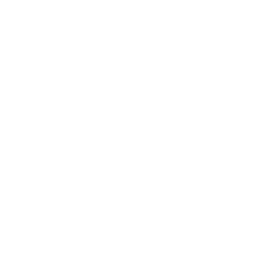 Dream Feet Emote icon