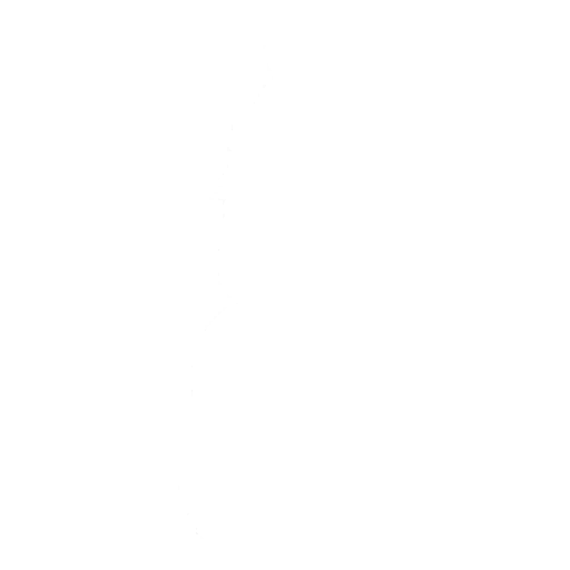 Bouncer Emote icon