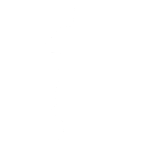 Island Vibes Emote icon
