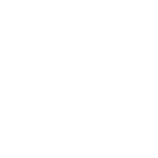 Snowshaker Emote icon