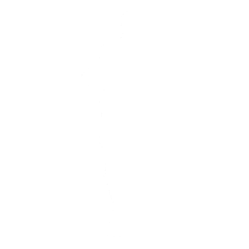 Party Hips Emote icon