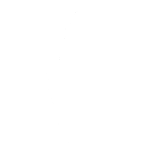 Boom Emote icon
