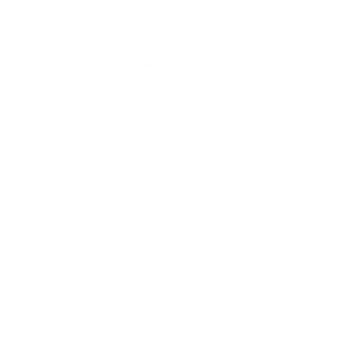 Bold Stance Emote icon