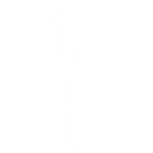 Kite Emote icon