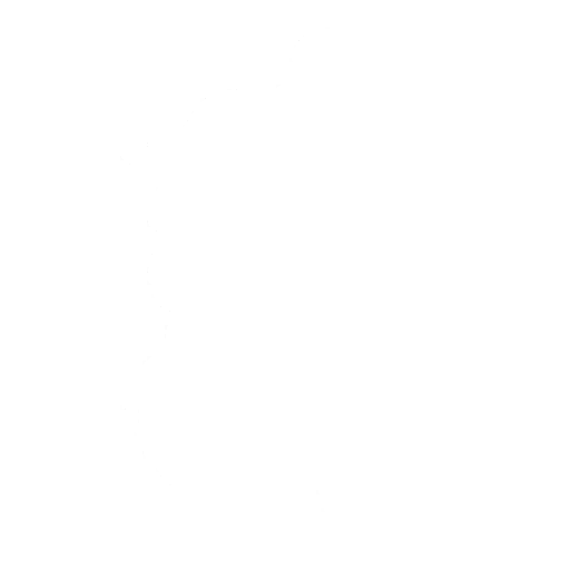 Scootin Emote icon