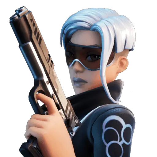 Echo – Fortnite Skin – Skin-Tracker