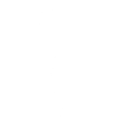 T-Pose  Fortnite Emote 