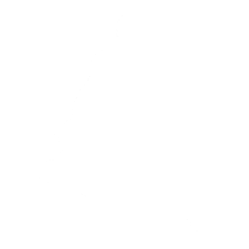 Leapin Emote icon