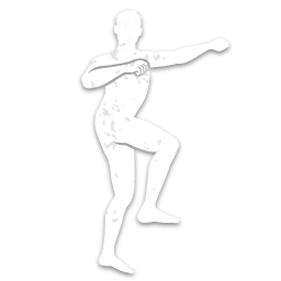 Victory Dance icon