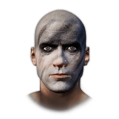Arctic Face Camo icon